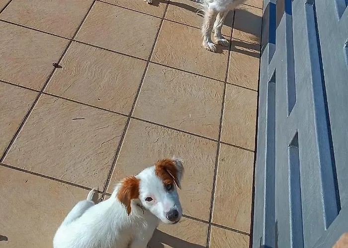 Civico 101 住宿加早餐酒店 明图尔诺